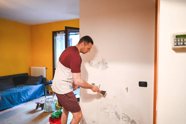 Best Residential Mold Remediation in Grand Terrace, CA